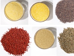 Grains