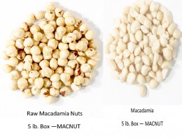 Macadamia